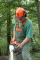 Click to see it big Ich mit Kettensäge, Impression aus dem Wald